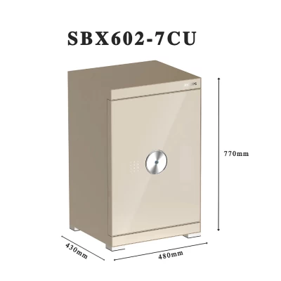 Két sắt Philips SBX602-7CU 113 Kg màu vàng champagne thumb
