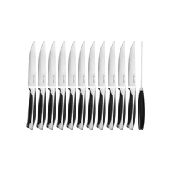 Bộ dao cắt steak 12 món cao cấp Ciwete