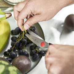 Bộ dao ZWILLING Twin Chef 9 món thumb