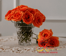 Lọ hoa Diamond Classic 17cm Crystal Bohemia thumb