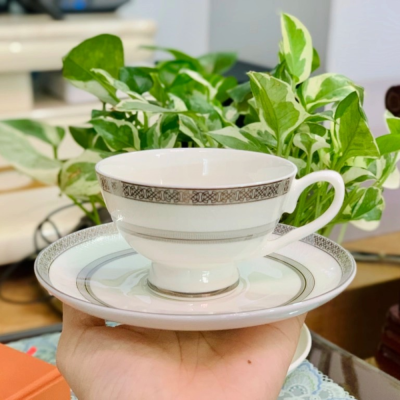 Bộ trà sứ xương Bạch Kim Anh viền bạc nội địa Đức thumb