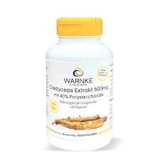 Viên Uống Đông Trùng Hạ Thảo Warnke Cordyceps Extrakt 500Mg