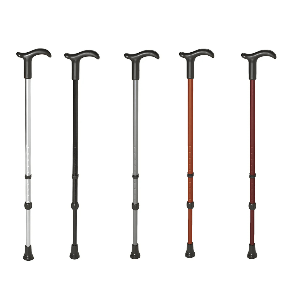 Gậy đi bộ Rebotec Simplex màu carbon