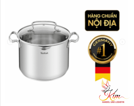 Nồi inox Tefal Duetto Plus 20cm 2,9L