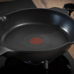 Chảo đúc cao cấp Tefal Robusto có miệng rót 20cm E2490244