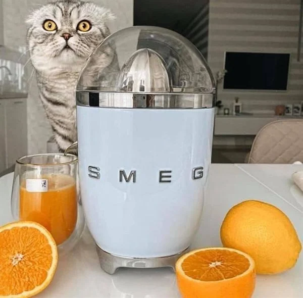 Máy vắt cam màu xanh SMEG CJF01PBEU